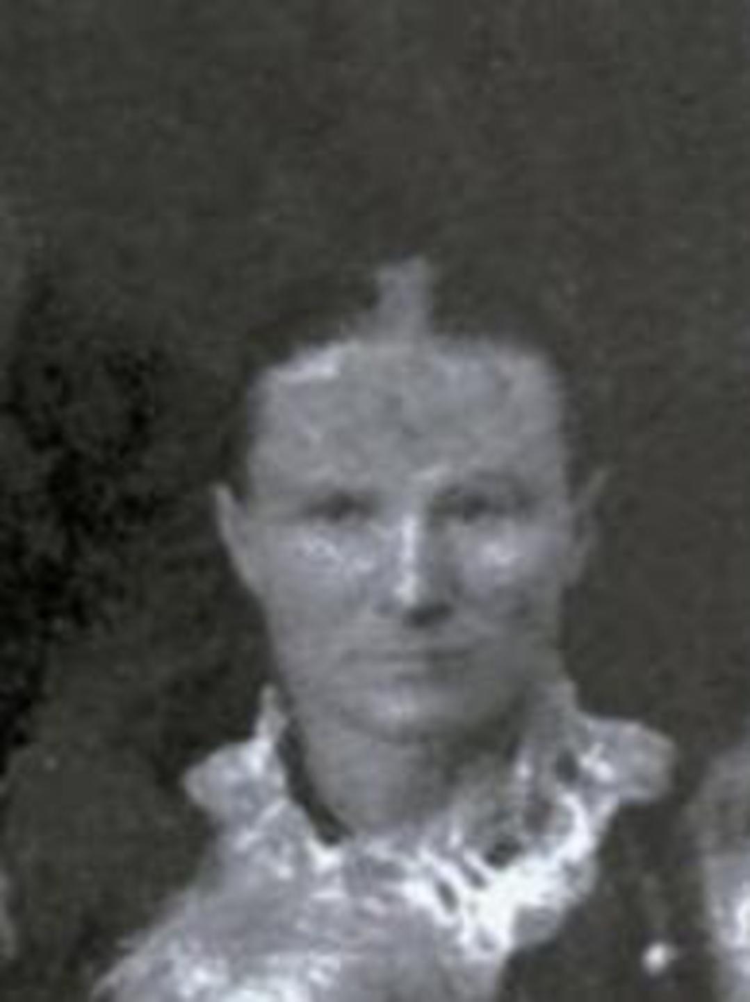 Ann Jennette Permelia Bates (1849 - 1894) Profile